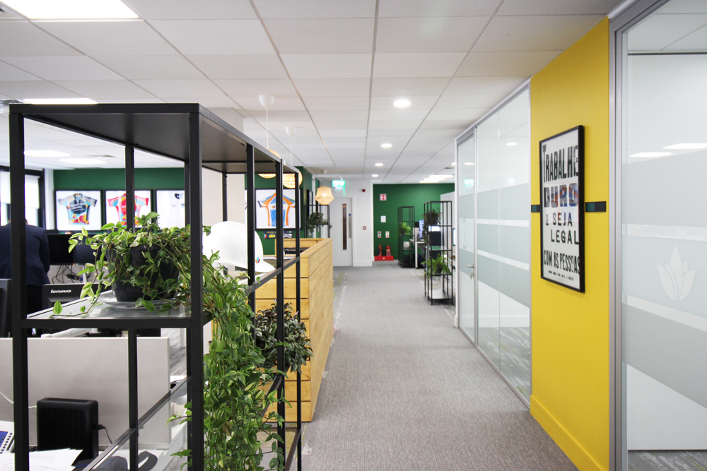 Dublin 4 Office Fit Out
